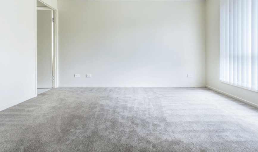 CARPET CLEANING